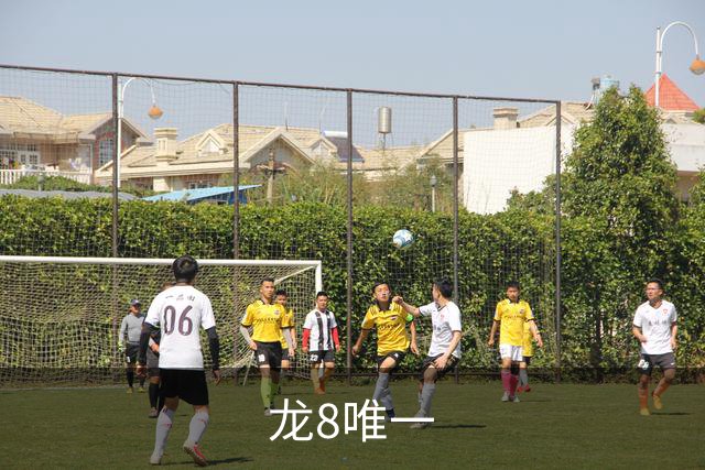 龙8唯一